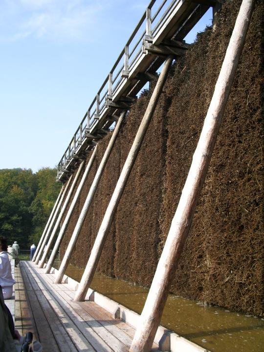 05.10.2005 14-48-39_0155 